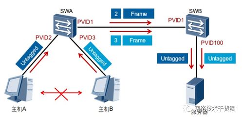 vlan通信基礎細節詳解